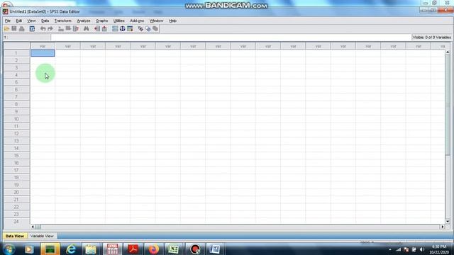 Statistik deskriptif spss - daily lisajon смотреть онлайн