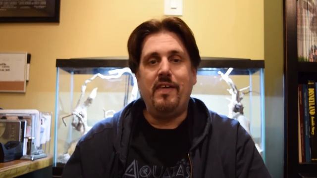 Aquatasy - Project Preview - The Thailand Project - Cycling Aquarium With ADA Aqua Soil смотреть онлайн