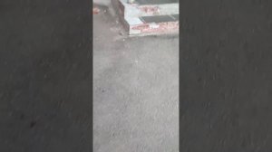 (1 видео с домофонами) кнопки домофонов визит кликаем (*и 0)