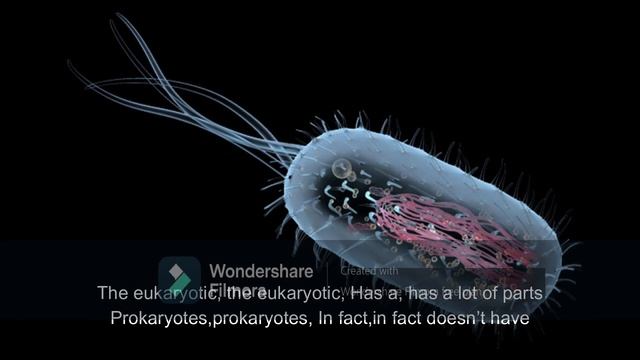 (Biosong) Eukaryotes Are The Ones! смотреть онлайн