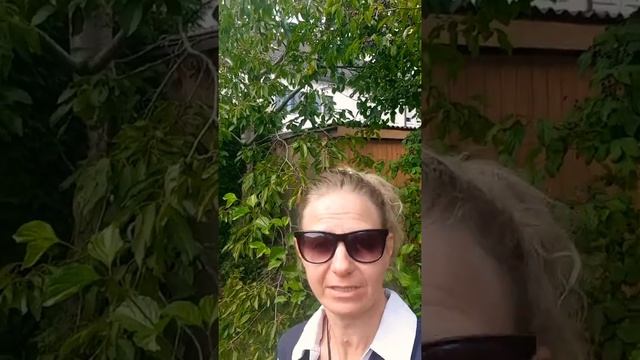 Bioenergetische Reflexology als Selbstheilung смотреть онлайн