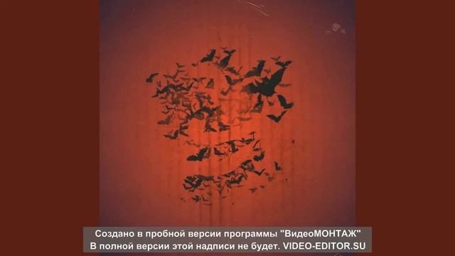 Честный - Разлетайтесь мыши смотреть онлайн