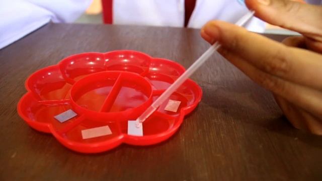 Praktikum asam basa dengan kertas lakmus dan pH universal смотреть онлайн