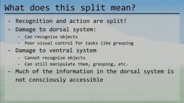 The Ancient Secrets of Computer Vision - 02 - Human Vision