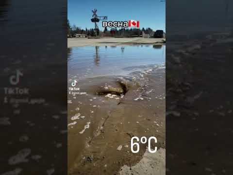 Весна,потепление в Канаде 🇨🇦 смотреть онлайн