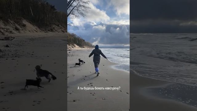 Балтийское море это любовь смотреть онлайн