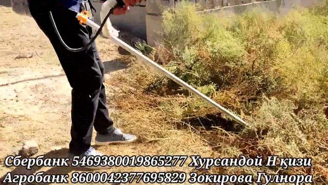 3-ҚИЗ СЕВИНЧЛАРНИ ХОВЛИСИДА ДАБ-ДАЛАМИЗ ЧИҚДИ!! смотреть онлайн