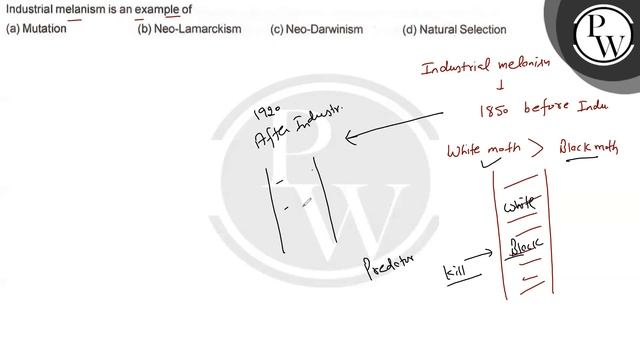 Industrial melanism is an example of
(a) Mutation
(b) Neo-Lamarckism
(c) Neo-Darwinism
(d) Natur... смотреть онлайн