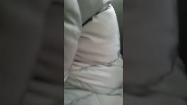едем по маршруту 67, на автобусе паз 32054 гбо 2008 г, в смотреть онлайн