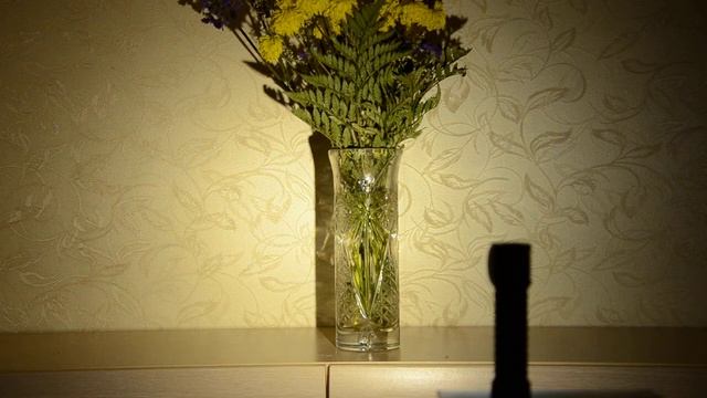 Zebralight H600fw mkII - long PID смотреть онлайн