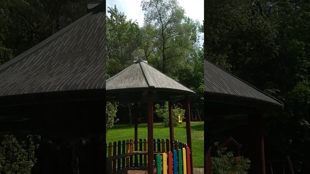 зарисовка природы после ливня смотреть онлайн