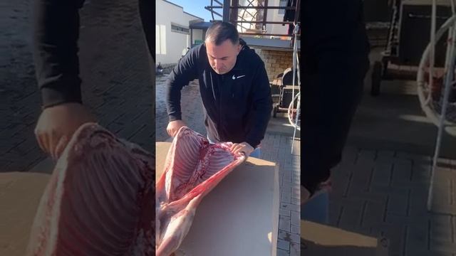 ostonov e.f смотреть онлайн