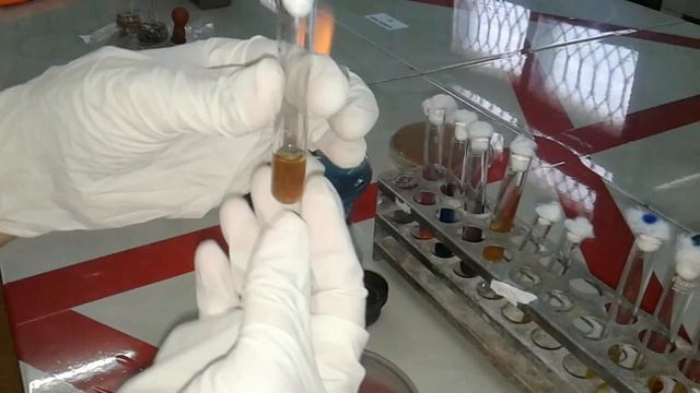 MATERI BAKTERI GRAMNEGATIF FL (Klebsiella pneumoniae) смотреть онлайн