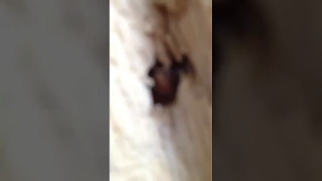 2令三重県 смотреть онлайн