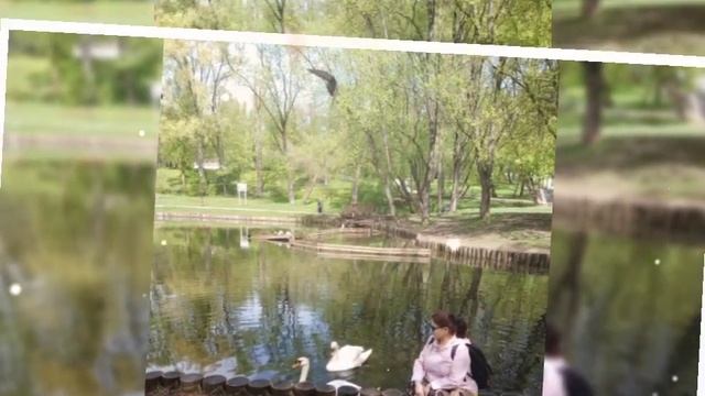 Зарина Москва смотреть онлайн