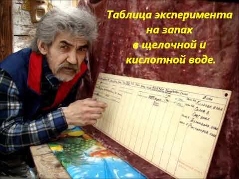 Наша пища растения или мясо смотреть онлайн