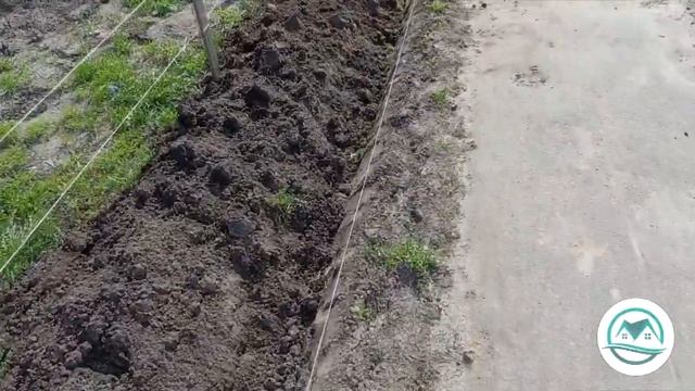 Год садовода #26 Кизильник смотреть онлайн