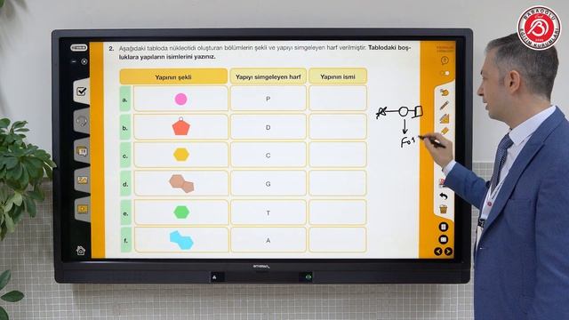 8.Sınıflar Fen Bilimleri - DNA’nın Yapısı ve Eşlenmesi смотреть онлайн