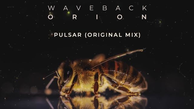 Waveback - Pulsar (Original Mix) смотреть онлайн