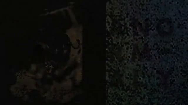Кайон и Рани - Между строк смотреть онлайн