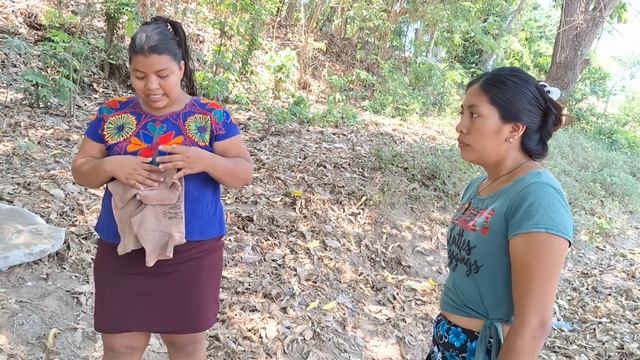 Santo Dios😱 La Hermana de Ever le reclama de la broma del sapo a rosi😡//Lucas no la denfendio смотреть онлайн