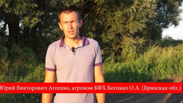 Морковь-Агровин Са смотреть онлайн