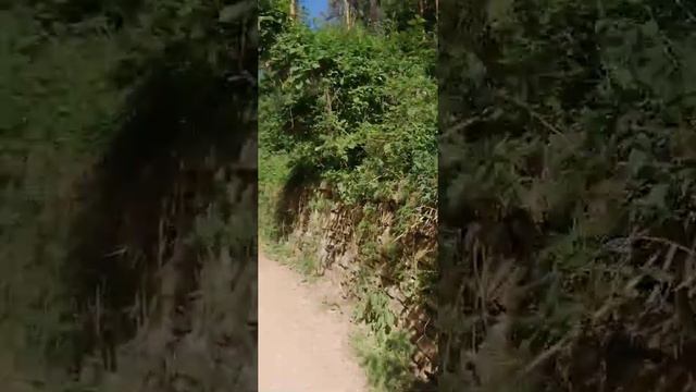 InShot 20210525 143021929 смотреть онлайн