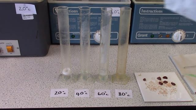 Temperature and catalase activity смотреть онлайн