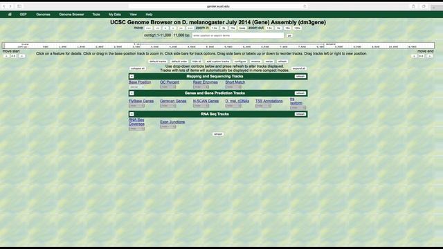 UEG | Genome Browser смотреть онлайн