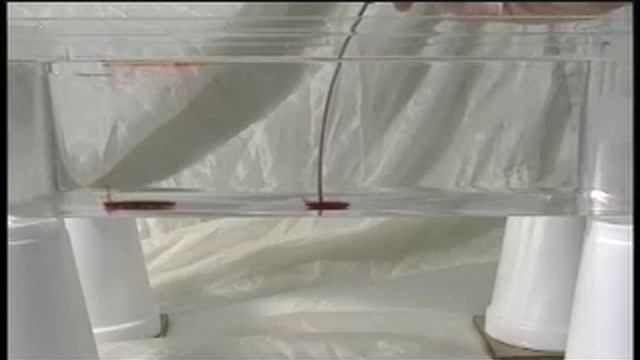 Convection Causes Wind: Part 1 смотреть онлайн