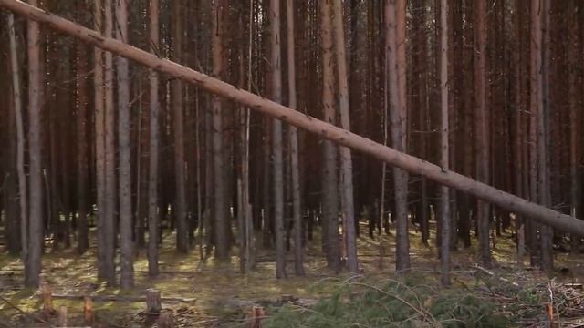 Новая ЛЭП смотреть онлайн