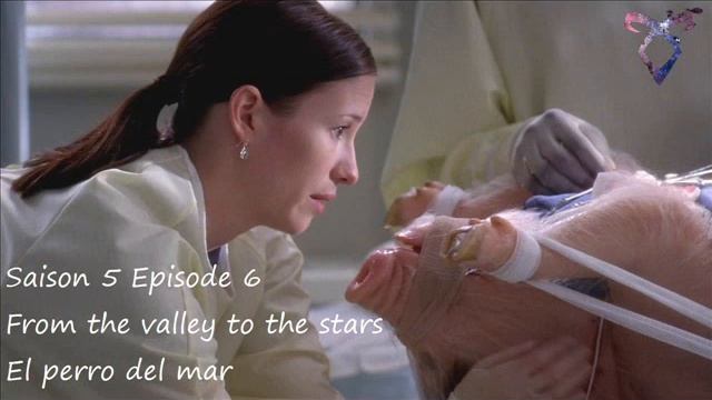 Grey's Anatomy S5E06 - From the valley to the stars - El perro del mar смотреть онлайн