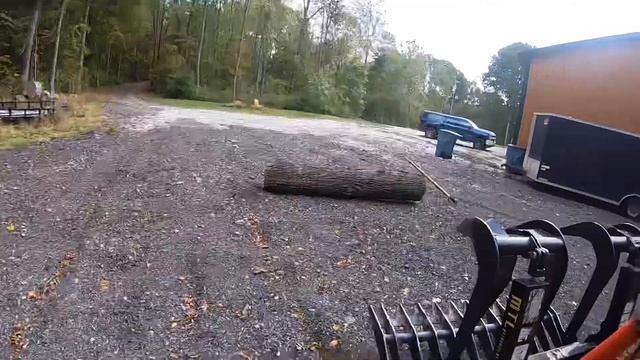 Metal Detector Scan and Pignut Hickory Woodland Mills HM126 # 10 | CBH смотреть онлайн