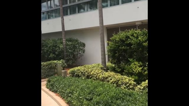 HOTEL REVIEW #15 / FONTAINEBLEAU MIAMI BEACH / JUNIOR KING SUITE смотреть онлайн