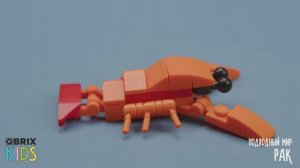 Собираем рака из конструктора QBRIX KIDS - коллекция детских конструкторов с видеоинструкциями