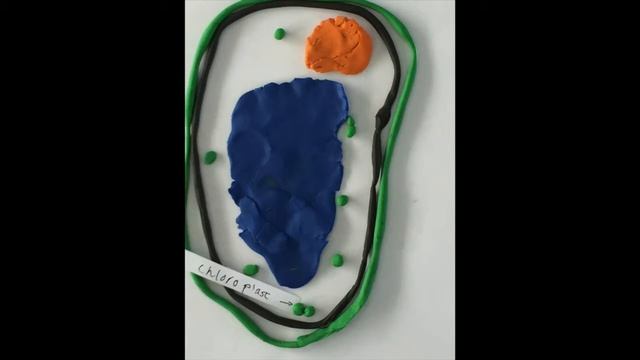 flacid cell смотреть онлайн