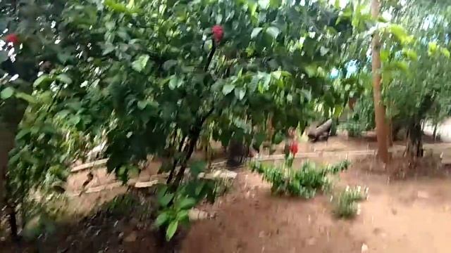 #SpeakRussian #EveryDayNew #Концентрация #Медитация #BetterWorlds #MayaRealityShow смотреть онлайн