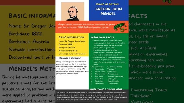 Sir Mendel Father of Genetics #neet2023 #neet #botany #biology #neetmotivation #ncert смотреть онлайн