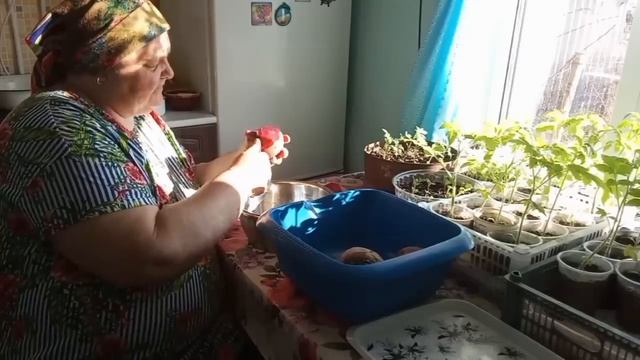 Жизнь 65-ЛЕТней ЖЕНЩИНЫ в селе и ЧЕМ ПИТАЮТСЯ в деревне / смотреть онлайн