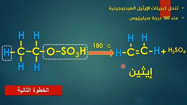 61 - مراجعة وتلخيص منهج العضوية كاملا في 45 دقيقة- دفعة 2020 - عبدالله محمد حبشي смотреть онлайн