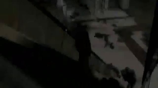 [DIGIMORTAL] - руины