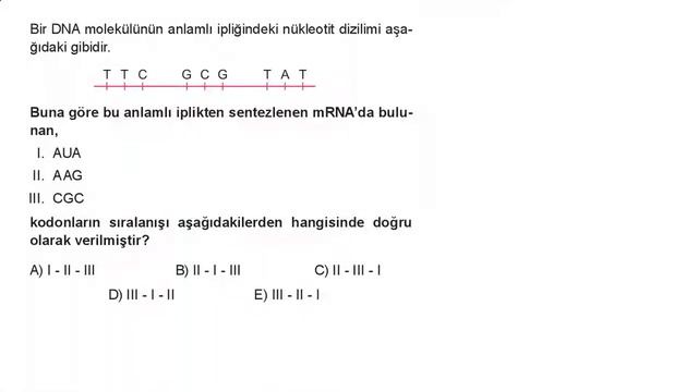AYT Biyoloji Multi Soru Bankası Bölüm 03 Test 06 Soru Çözümleri смотреть онлайн