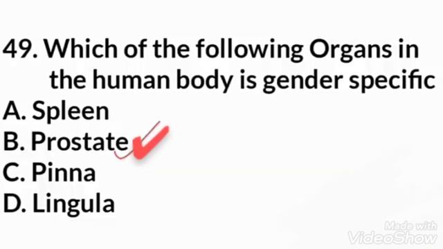 Important 100 Solved MCQs Pharmacy смотреть онлайн