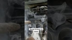 Skoda Octavia 1.6 троит. #дымогенератор #подсос #троит #диагностика