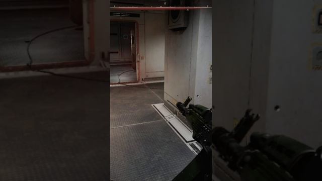 Кровосос в 2 S.T.A.L.K.E.R. 2 Heart of Chornobyl монстры сталкер 2 #stalker2 #shorts смотреть онлайн