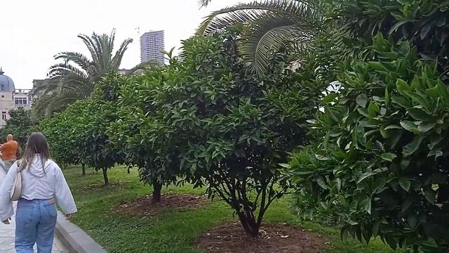 Батуми 2023. Площадь Европы смотреть онлайн