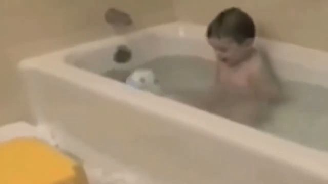 коты очень странные смотреть онлайн