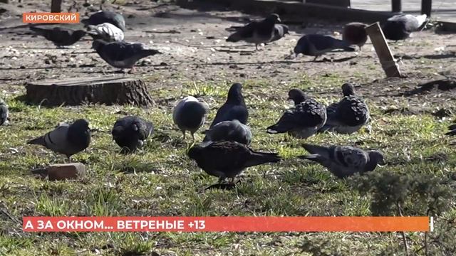 А за окном. 14 марта 2023 смотреть онлайн