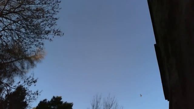Red Kites Live Cam смотреть онлайн