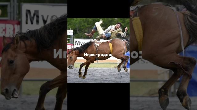 как вы к этому относитесь?